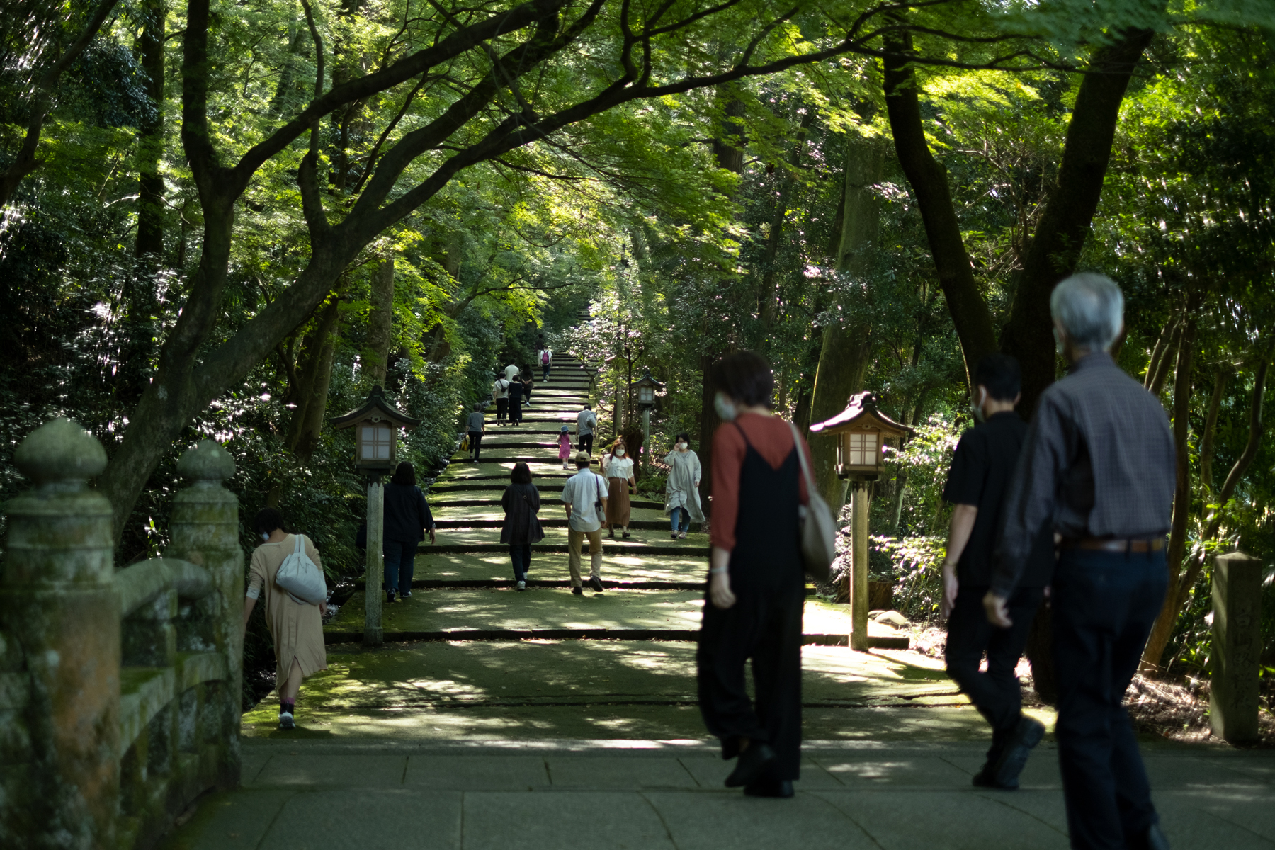 白山ろくシャトルの1つめの停車場所「白山比咩（しらやまひめ）神社」の表参道
