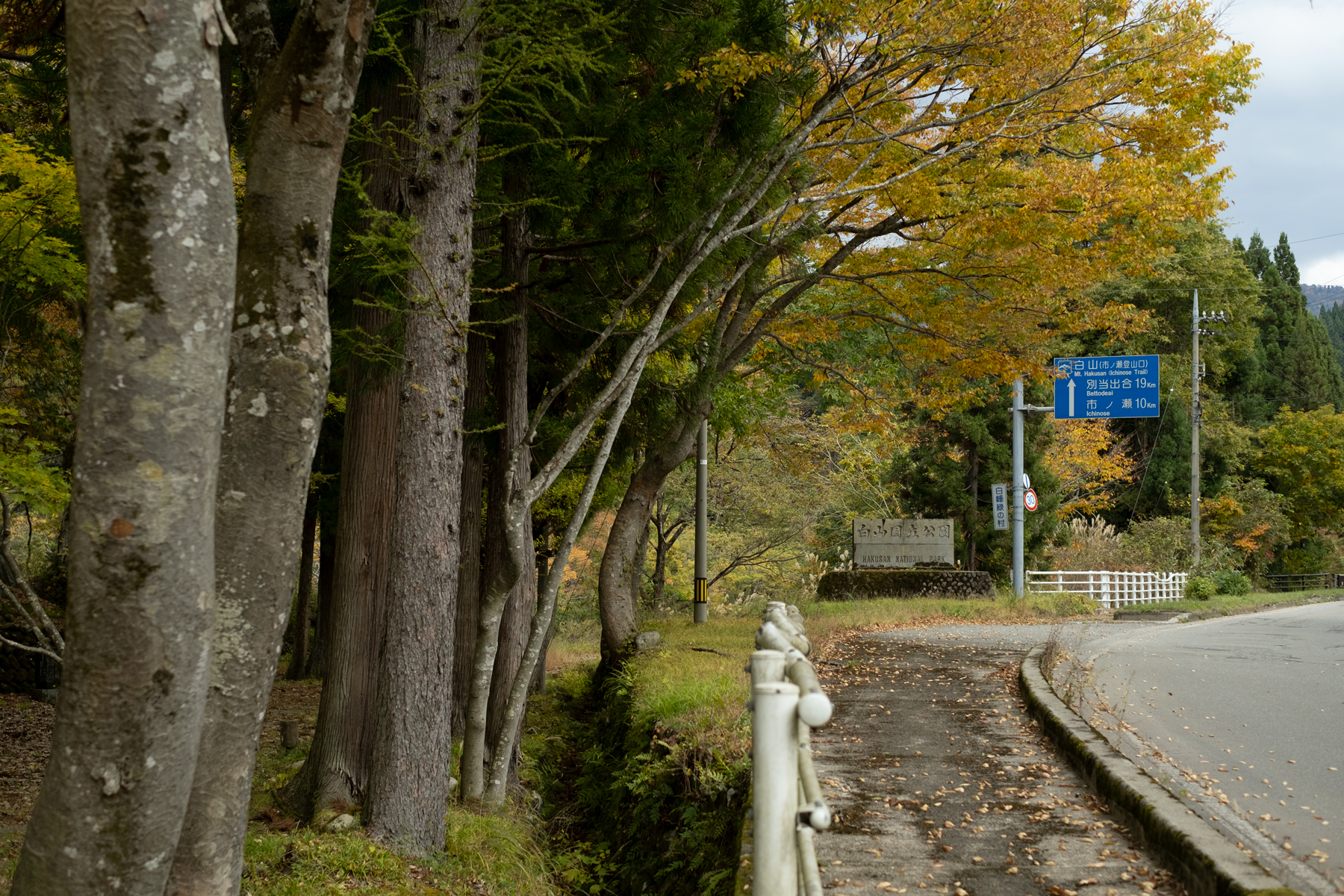 白峰から白山の登山口に続く道